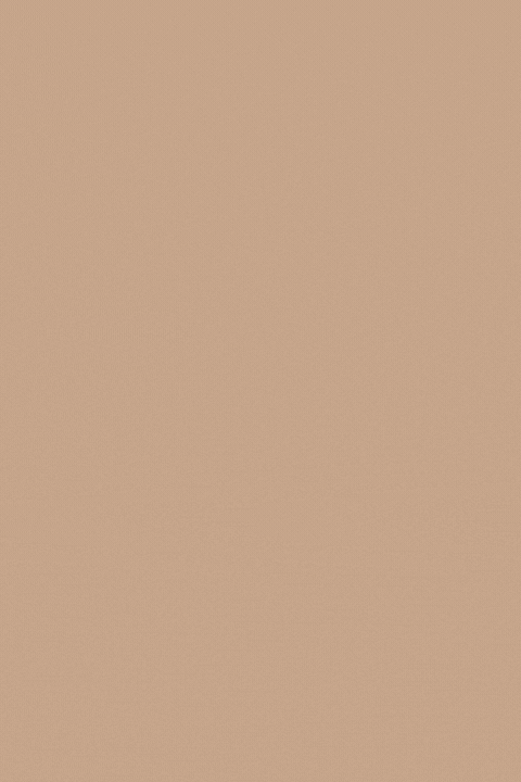FLUX LEGER