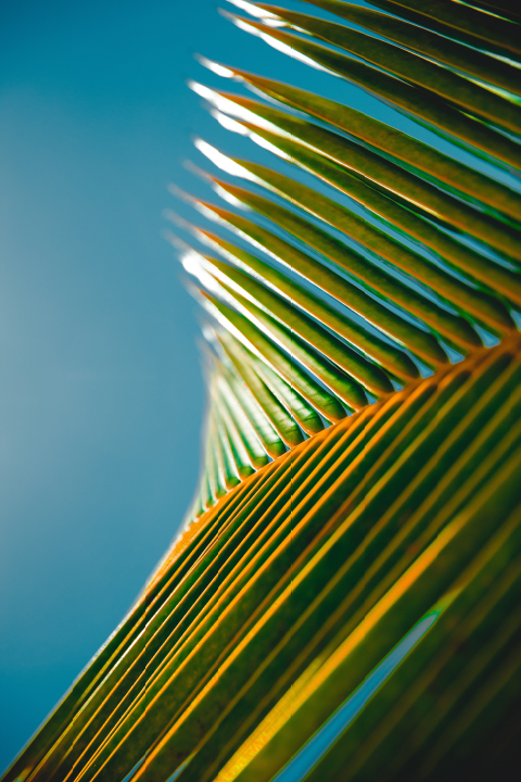 Concours Photos