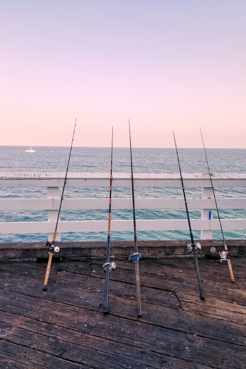 Hossegor