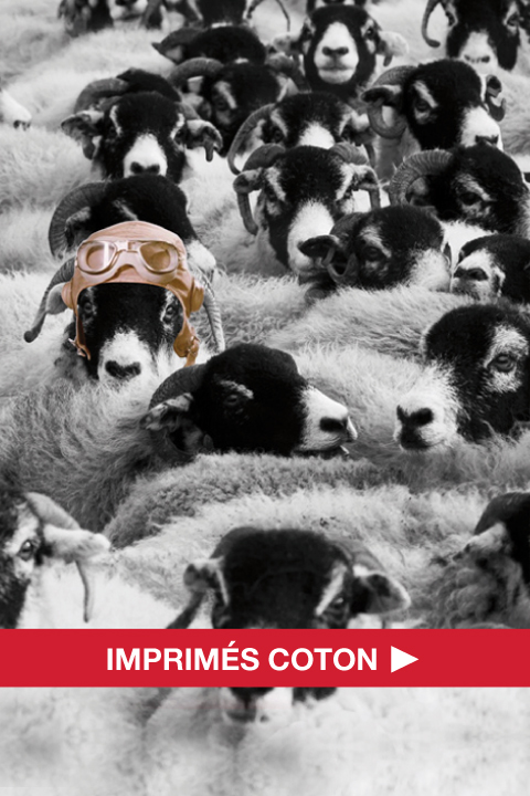 BOXERS IMPRIMÉS COTON