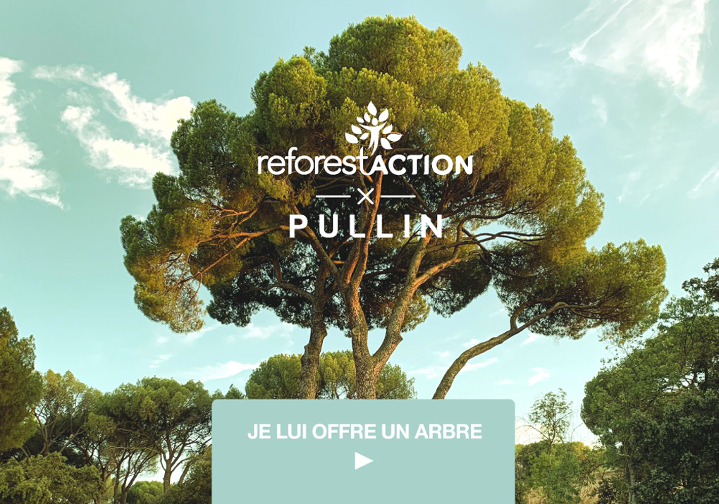 Je LUI offre un arbre